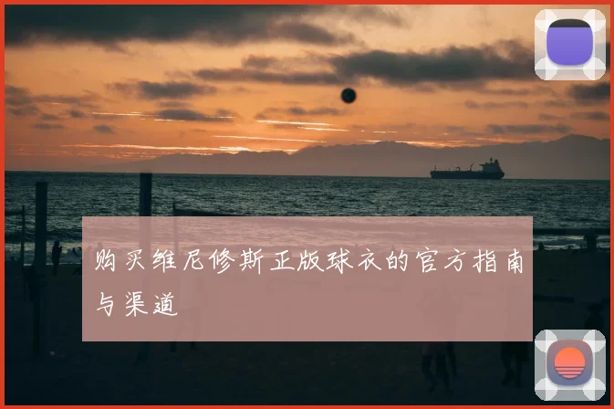 购买维尼修斯正版球衣的官方指南与渠道