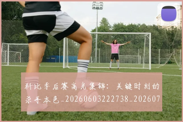 科比季后赛高光集锦:关键时刻的杀手本色_20260603222738_20260708195241_20260802165320