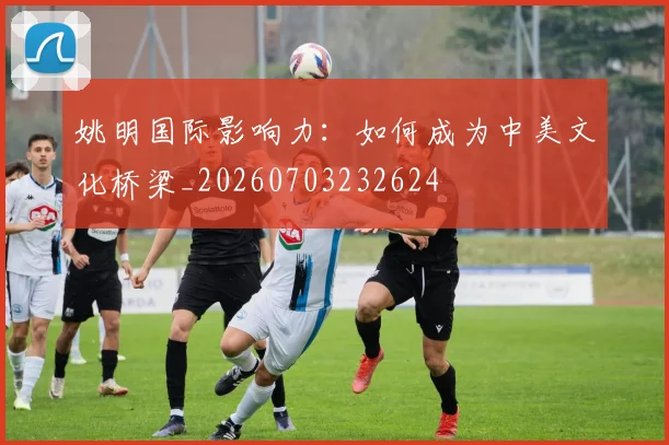 姚明国际影响力：如何成为中美文化桥梁_20260703232624