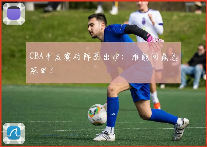 CBA季后赛对阵图出炉：谁能问鼎总冠军？