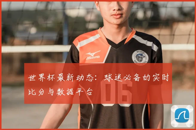 世界杯最新动态：球迷必备的实时比分与数据平台